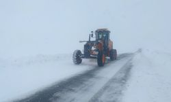 Kar Yağışı 28 Yerleşim Yerini Ulaşıma Kapattı!