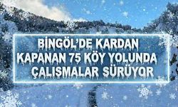 Bingöl’de kardan dolayı kapanan 75 köy yolunda çalışmalar sürüyor
