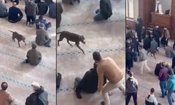 Cuma Namazı Öncesi Camide Pitbull Paniği