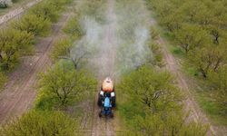 Zirai İlaçlarda Yeni Dönem: Temmuz Ayında 81 İlde Uygulanacak