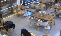 Kontrolden Çıkan Otomobil Kafeteryaya Daldı