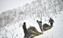 Muş’ta Çetin Kış, Besicileri Zorluyor