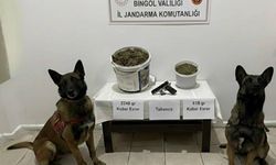 Bingöl’de Jandarmadan Uyuşturucu Operasyonu: 3 Gözaltı