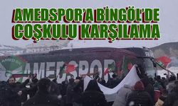 Amedspor’a Bingöl’de Coşkulu Karşılama