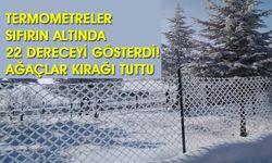 Bingöl Buz Kesti: Termometreler Sıfırın Altında 22 Dereceyi Gösterdi