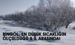 Bingöl En Soğuk İller Arasında İlk 5’te!