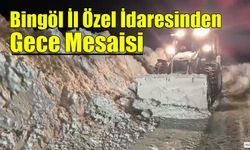 Bingöl İl Özel İdaresinden Gece Mesaisi