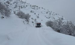 Diyaliz Hastası Genç, Paletli Ambulansla Hastaneye Ulaştırıldı