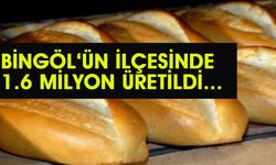 Bingöl’ün İlçesinde 1 Yılda 1.6 Milyon Üretildi