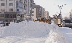 Genç’te Kar ve Çatı Saçaklarındaki Buz Kütleleriyle Mücadele Çalışması