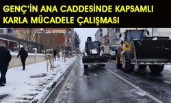 Genç İlçe Merkezinde Ana Caddedeki Karlar Kaldırıldı