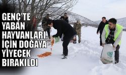Genç’te Yaban Hayvanları İçin Doğaya Yiyecek Bırakıldı