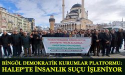 Bingöl Demokratik Kurumlar Platformu: Halep’te İnsanlık Suçu İşleniyor