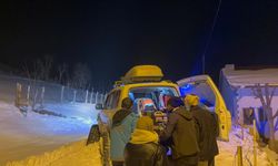 Bingöl'de Paletli Ambulansla Hastaya Ulaştılar