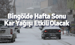 Bingöl’de Hafta Sonu Kar Yağışı Etkili Olacak!