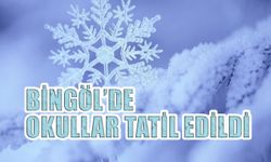 Bingöl’de Okullar Tatil Edildi