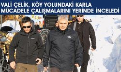 Vali Çelik, Köy Yolunda Yürütülen Karla Mücadele Çalışmalarını İnceledi