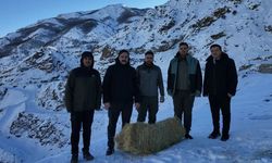 Kiğı’da Doğaya Yiyecek Bırakıldı