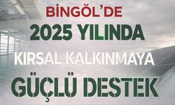 Bingöl’deki 33 Kırsal Kalkınma Projesine 242,8 Milyon Lira Hibe Desteği