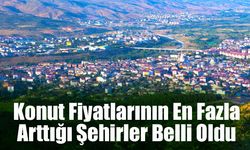 Konut Fiyatlarının En Fazla Arttığı Şehirler Belli Oldu:  Bingöl Yine Zirvede!