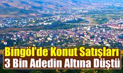 Bingöl’de Konut Satışları 3 Bin Adedin Altına Düştü