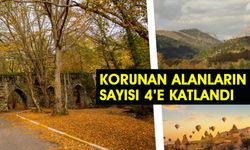 Korunan Alan Sayısı 4'e Katlandı