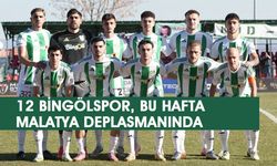 12 Bingölspor, Malatya Deplasmanına Gidecek