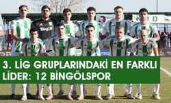 3. Lig Gruplarındaki En Farklı Lider: 12 Bingölspor