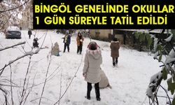 Bingöl Genelinde Okullara Kar Engeli!