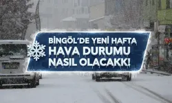 Bingöl 5 Günlük Hava Durumu Raporu
