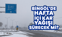 Bingöl’de Hafta İçi Kar Yağışı Sürecek mi?
