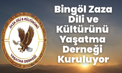 Bingöl Zaza Dili ve Kültürünü Yaşatma Derneği Kuruluyor