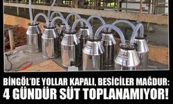 Bingöl’de Yollar Kapalı, Besiciler Mağdur: 4 Gündür Süt Toplanamıyor!