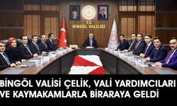 Vali Çelik, Vali Yardımcıları ve Kaymakamlarla Toplantı Yaptı
