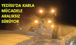 Yedisu İlçesinde Karla Mücadele Aralıksız Sürüyor