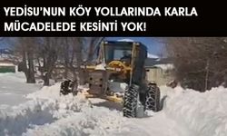 Yedisu’da Karla Mücadele Sürüyor