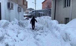 Karlıova’da Kar 40 Gündür Etkisini Sürdürüyor