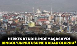 Herkes Kendi İlinde Yaşamış Olsaydı Bingöl’ün Nüfusu Ne Kadar Olurdu?