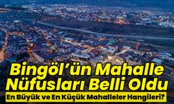 Bingöl’ün Mahalle Nüfusları Belli Oldu: En Büyük ve En Küçük Mahalleler Hangileri?