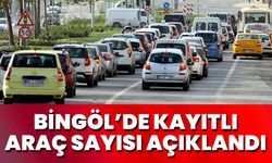 Bingöl’de Kayıtlı Araç Sayısı Açıklandı