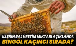 İllerin Bal Üretim Miktarı Açıklandı: Bingöl Kaçıncı Sırada?