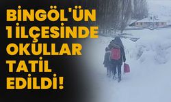 Bingöl'ün 1 İlçesinde Okullar Tatil Edildi!