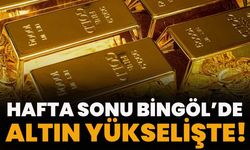 Hafta Sonu Bingöl’de Altın Yükselişte!