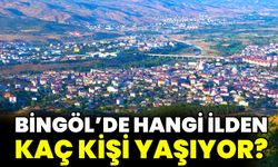 Bingöl’de hangi ilden kaç kişi yaşıyor?