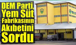 DEM Parti, Yem Süt Arsasının Akıbetini Sordu
