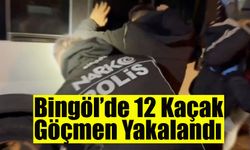 Bingöl’de 12 Kaçak Göçmen Yakalandı