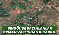 Bingöl'de Bazı Alanlar Orman Vasfından Çıkarıldı