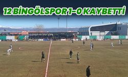 12 Bingölspor 1-0 Kaybetti