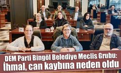 DEM Parti Bingöl Belediye Meclis Grubu:  İhmal, can kaybına neden oldu