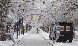 Erzurum Buz Kesti: Termometreler Sıfırın Altında 14 Dereceyi Gösterdi!